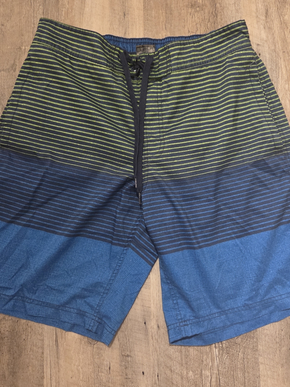 Men's Blue and Green Stripe Swim Trunks with Drawstring Waist Firefly